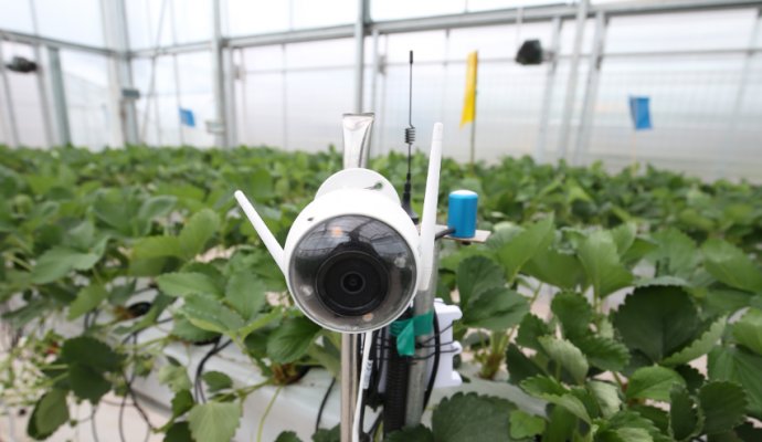 無線充電技術賦能智慧農業：畜牧業機器人五大應用場景